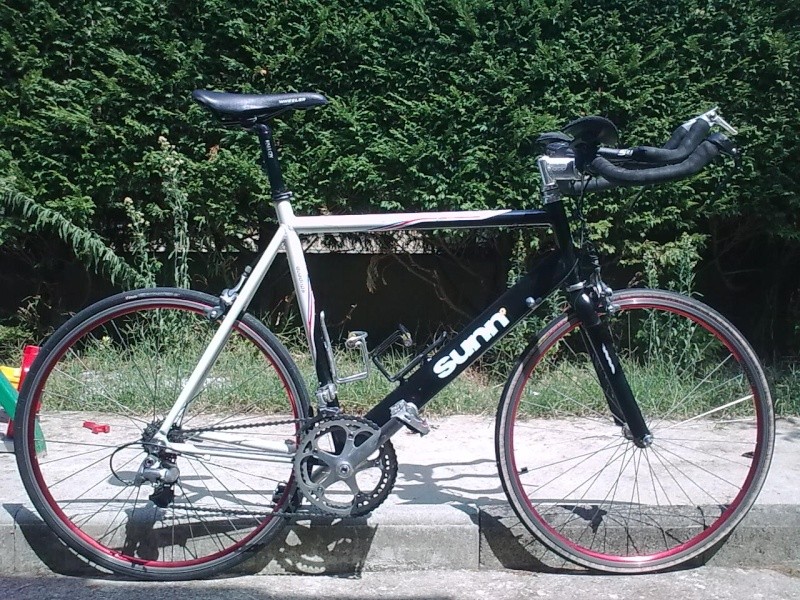 sunn quadrips T56