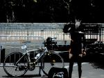 vente lapierre sl cruiser