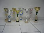 Lot de 6 coupes