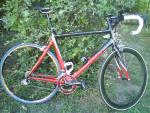 Giant TCR C2
