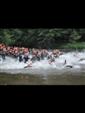 triathlon-cublize-2010-.jpg