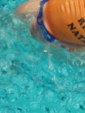 aquathlon-2011-1056.jpg