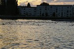 vichy-52.jpg