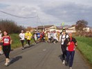 Ficheiro=marathon-beaujolais-chenille-42.JPG
Tamanho=73KB
Dimensões=800x600
Data de envio=Nov 19, 2006 marathon-beaujolais-chenille-42.JPG