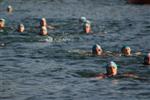 triathlon-vaulx-.jpg